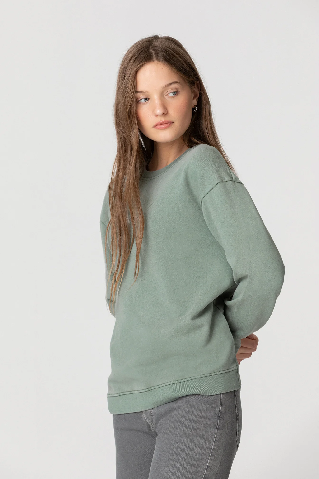SUDADERA SIN CAPUCHA PRINT ESPALDA FLOR - Image 3